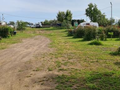 Camper Park Jubileum