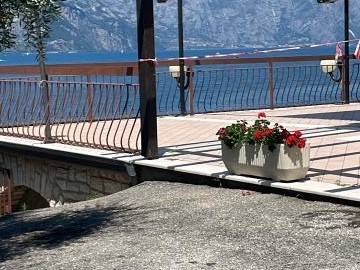 Camping & Apartments Bellavista
