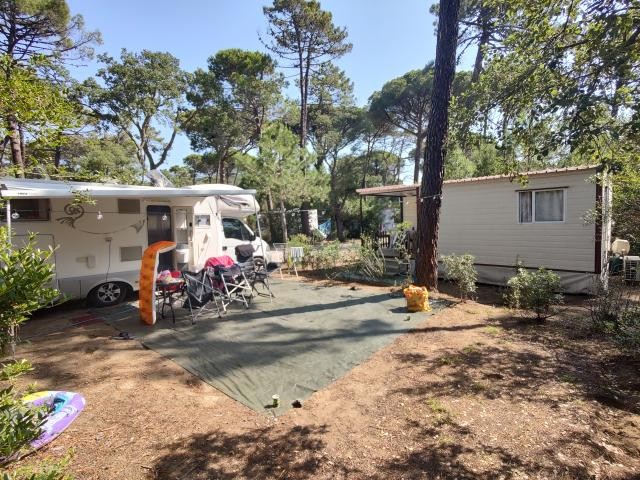 Camping Puntala