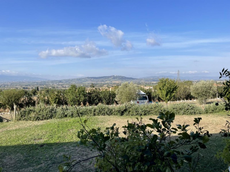 AgriTania