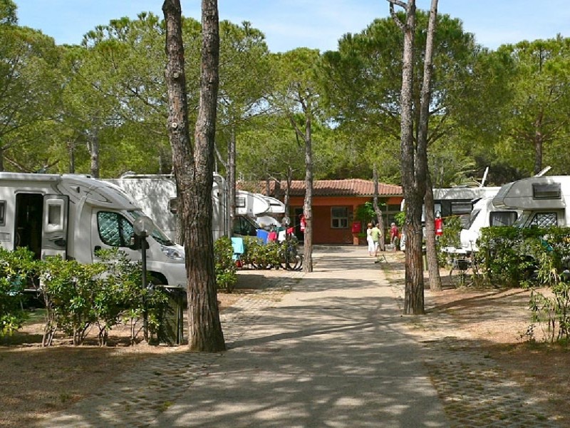 Camping Ville degli Ulivi