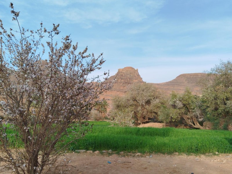 Hotel- camping Amtoudi