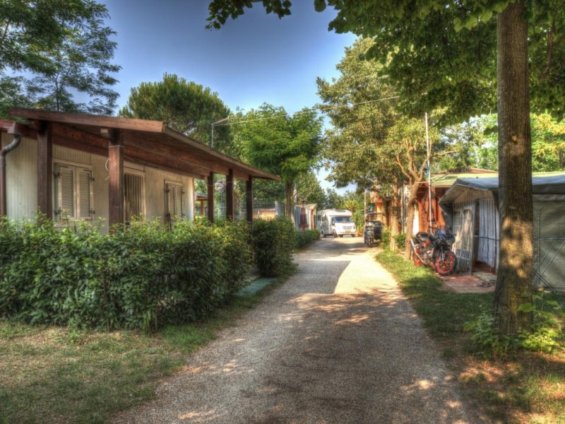 Camping Panorama