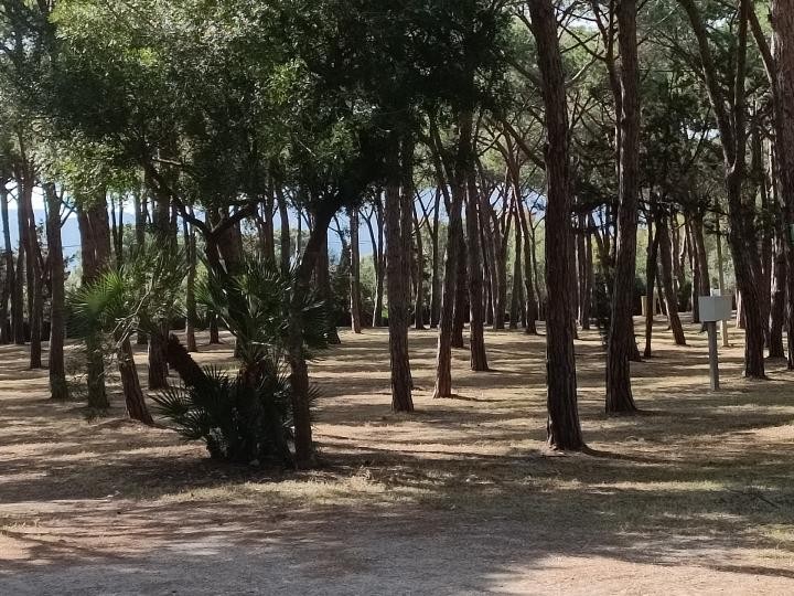 Camping Cala Ginepro