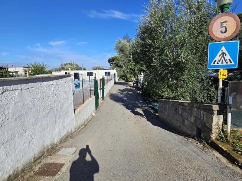 Camping I Pini