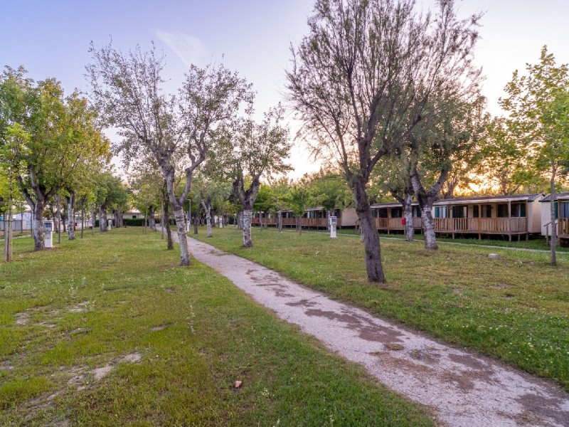 Adriatico Family Camping Village
