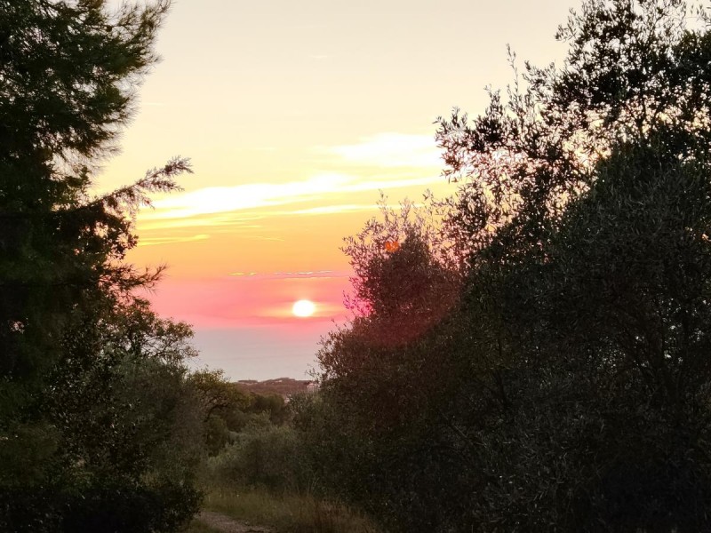 Agriturismo Le Rondini di San Bartolo