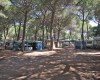 Camping Village il Sole foto 42