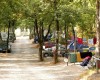 Camping La Montagnola foto 2