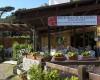 Camping Bocca di Cecina foto 36