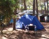 Camping Village il Sole foto 43