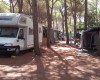 Camping Village il Sole foto 44