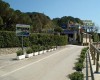 Camping la Foce foto 10