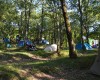 Camping Mugello Verde foto 39