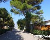 Camping Il Gabbiano foto 6
