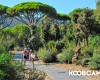 Camping Village Baia Azzurra Club foto 34