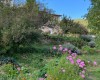 Agriturismo La Fattoria dellAutosufficienza foto 4