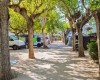 Camping Arrighi foto 4