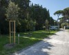 Camping Bocca di Cecina foto 24