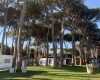Camping Bocca di Cecina foto 21