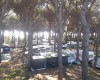 Camping Marina Chiara foto 44