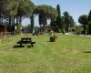 Camping Bocca di Cecina foto 22