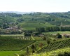 Agricamping La Rosa Nel Borgo  Langa: vigneti 07/03/23 15:16