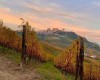 Agricamping La Rosa Nel Borgo  07/03/23 15:16