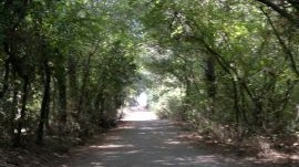 Foto Area