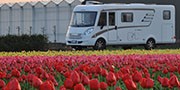 Keukenhof: in camper nel paradiso dei tulipani