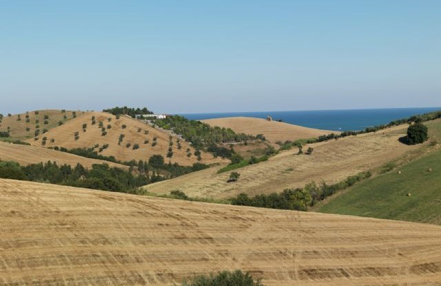 FotoArea