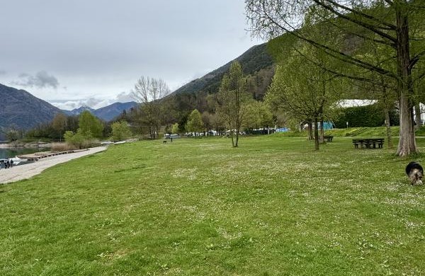 FotoArea
