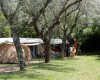 Italy Camping Village foto 26