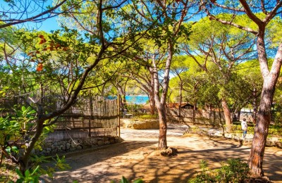 Camping Lacona Pineta