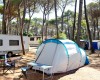Camping Baia Verde foto 4