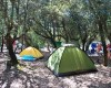 Camping Internazionale di Castelfusano foto 7