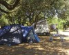 Camping Internazionale di Castelfusano foto 8