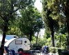Camping Panoramico Fiesole foto 10