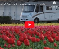 Keukenhof, Olanda: in camper nel paradiso dei tulipani