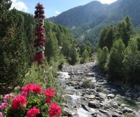 Valle d'Aosta 2021
