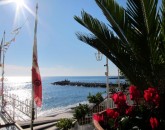 Calimero In Costa Amalfitana  foto 3