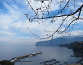 Calimero In Costa Amalfitana  foto 5