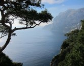 Calimero In Costa Amalfitana  foto 6