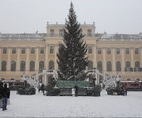 Capodanno a Vienna