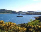 La Scozia E Le Highlands In Fiore  foto 1