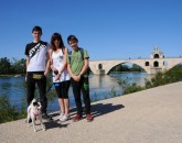 Francia: Avignone E Carcassonne  foto 1