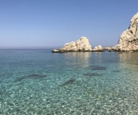 Grecia, isole ioniche - estate 2017