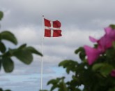 Danimarca In Camper  foto 1