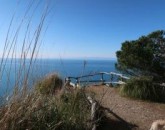 Liguria E Il  Golfo Del Tigullio - Febbraio 2018  foto 8