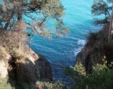 Liguria E Il  Golfo Del Tigullio - Febbraio 2018  foto 4